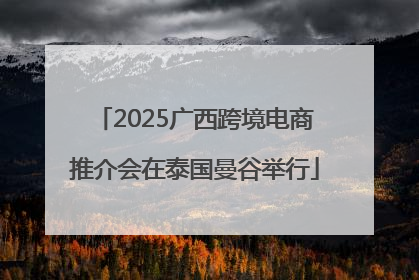 2025广西跨境电商推介会在泰国曼谷举行