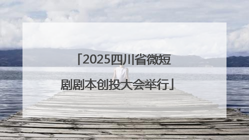 2025四川省微短剧剧本创投大会举行