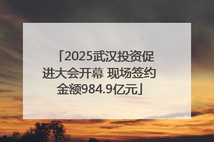 2025武汉投资促进大会开幕 现场签约金额984.9亿元