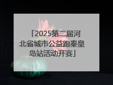 2025第二届河北省城市公益跑秦皇岛站活动开赛