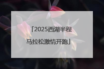 2025西湖半程马拉松激情开跑