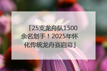 25支龙舟队1500余名划手！2025年怀化传统龙舟赛启幕