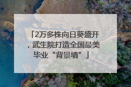 2万多株向日葵盛开，武生院打造全国最美毕业“背景墙”