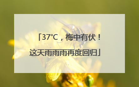 37℃，梅中有伏！这天雨雨雨再度回归