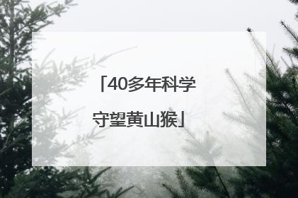 40多年科学守望黄山猴