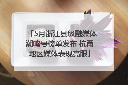 5月浙江县级融媒体潮鸣号榜单发布 杭甬地区媒体表现亮眼