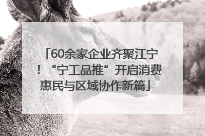 60余家企业齐聚江宁！“宁工品推”开启消费惠民与区域协作新篇