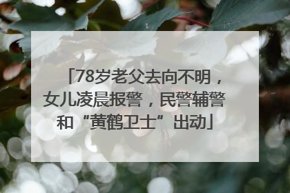78岁老父去向不明，女儿凌晨报警，民警辅警和“黄鹤卫士”出动