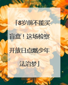 8岁前不能买盲盒！这场检察开放日点燃少年法治梦