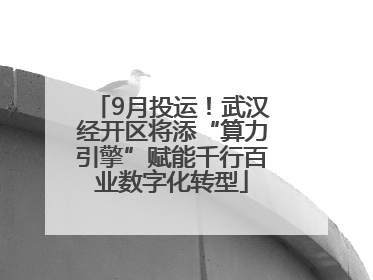 9月投运！武汉经开区将添“算力引擎”赋能千行百业数字化转型