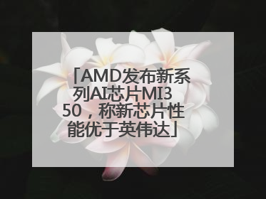 AMD发布新系列AI芯片MI350，称新芯片性能优于英伟达