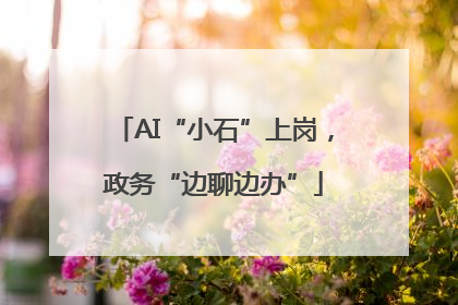 AI“小石”上岗，政务“边聊边办”