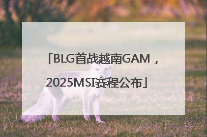 BLG首战越南GAM，2025MSI赛程公布